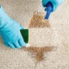 Carpet Stain Removal: Best Ways to Clean Tough Spots