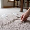 Restore Carpet After Moving Furniture: A Complete Guide