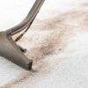 Carpet Cleaning Help to Reduce Allergies | Hayat Carpet Cleaning