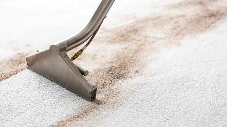 carpet-cleaning-help-to-reduce-allergies
