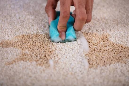 how-to-wash-stains-and-spots-from-carpets